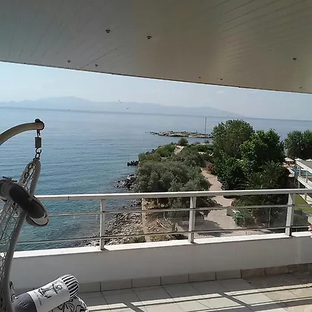 Roof Garden By The Sea *