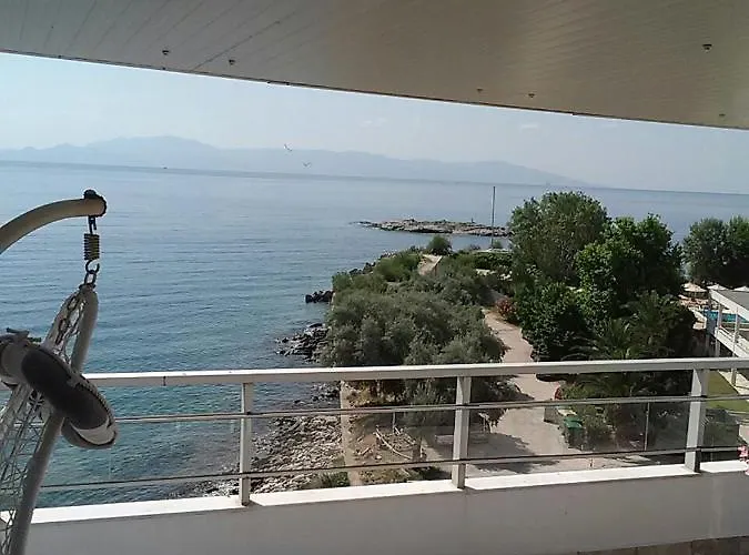 Roof Garden By The Sea *